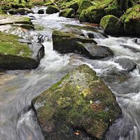 Buy canvas prints of Rocks at Golitha Falls 3 by Andrew Ray