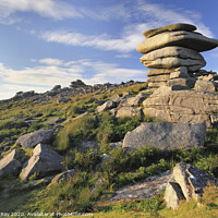 Buy canvas prints of The Cheesewring on Bodmin Moor by Andrew Ray
