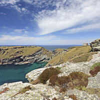 Buy canvas prints of Tintagel Head and Castle by Andrew Ray