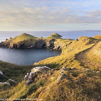 Buy canvas prints of Coast Path to the Rumps by Andrew Ray
