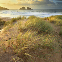 Buy canvas prints of Dunes at sunset (Holywell Bay) by Andrew Ray