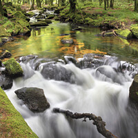 Buy canvas prints of Falls View (Golitha Falls) by Andrew Ray