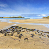 Buy canvas prints of Daymer Beach by Andrew Ray