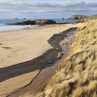 Buy canvas prints of Dunes view (Constantine Bay) by Andrew Ray