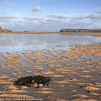 Buy canvas prints of Seaweed on the Camel by Andrew Ray