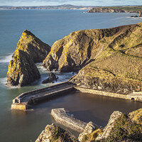 Buy canvas prints of Mullion Harbour by Andrew Ray