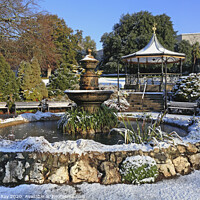 Buy canvas prints of Winter at Victoria Gardens (Truro) by Andrew Ray