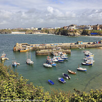 Buy canvas prints of Newquay Harbour by Andrew Ray