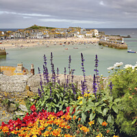 Buy canvas prints of Floral display (St Ives) by Andrew Ray