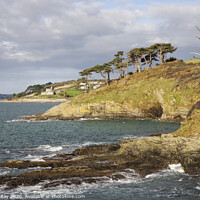 Buy canvas prints of Towards St Mawes Castle by Andrew Ray
