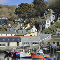 Buy canvas prints of Boats moored at Polperro by Andrew Ray