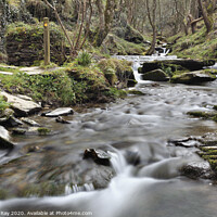 Buy canvas prints of Rocky Valley Stream by Andrew Ray