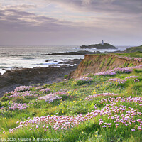 Buy canvas prints of Spring at Godrevy by Andrew Ray
