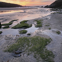 Buy canvas prints of Porth Beach  by Andrew Ray