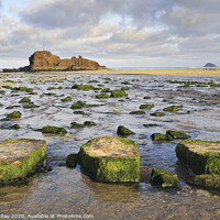 Buy canvas prints of Stepping Stones (Perranporth) by Andrew Ray