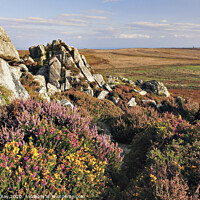 Buy canvas prints of Carn Galver Summit by Andrew Ray