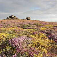 Buy canvas prints of Penwith Moors by Andrew Ray