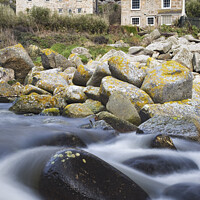 Buy canvas prints of Cottages at Lamorna by Andrew Ray
