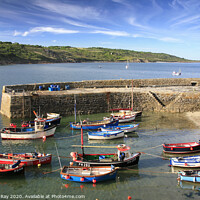 Buy canvas prints of Coverack Harbour by Andrew Ray