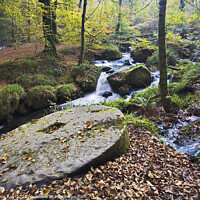 Buy canvas prints of Autumn at Kennall Vale by Andrew Ray