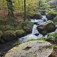 Buy canvas prints of Mill Stone (Kennall Vale) by Andrew Ray