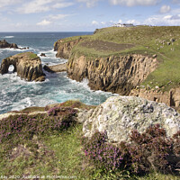 Buy canvas prints of Heather at Land's End by Andrew Ray