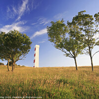 Buy canvas prints of Gribbin Tower by Andrew Ray