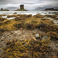 Buy canvas prints of Low tide at Castle Stalker by Andrew Ray