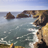 Buy canvas prints of Towards Kynance Cove by Andrew Ray
