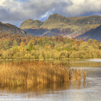 Buy canvas prints of Elterwater by Andrew Ray