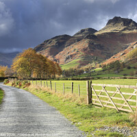 Buy canvas prints of Autumn in Great Langdale by Andrew Ray