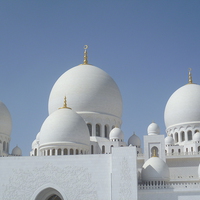Buy canvas prints of Domes by Yasmin Jeevanjee