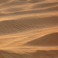 Buy canvas prints of  Dunes  by Yasmin Jeevanjee