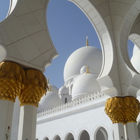 Buy canvas prints of  Domes by Yasmin Jeevanjee