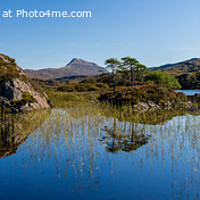 Buy canvas prints of Panoramic view of Suilven and Canisp from Loch Dru by Howard Kennedy