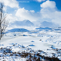 Buy canvas prints of Loch Ba and Black Mount in winter by Howard Kennedy