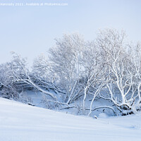 Buy canvas prints of Tree buried in snowdrift on Rannoch Moor by Howard Kennedy