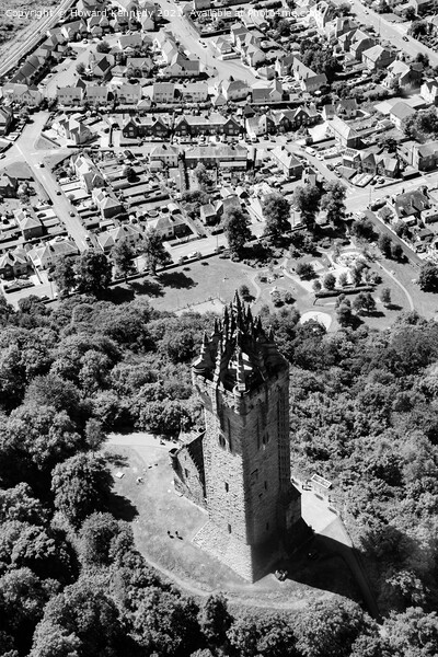 Wallace Monument from the air Picture Board by Howard Kennedy