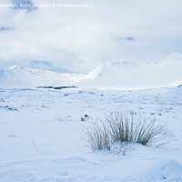 Buy canvas prints of Black Mount from Rannoch Moor in snow by Howard Kennedy