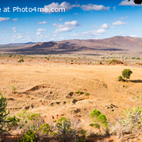 Buy canvas prints of Panorama of Rhino Valley in Tsavo West by Howard Kennedy