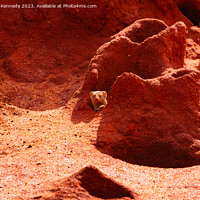 Buy canvas prints of Dwarf Mongoose peaking out of termite mound by Howard Kennedy