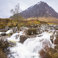 Buy canvas prints of Buachaille Etive Mor by Howard Kennedy
