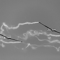Buy canvas prints of White Wings Gliders by Paul Piciu-Horvat