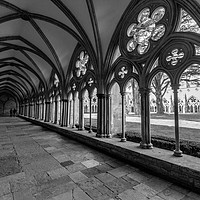 Buy canvas prints of Salisbury Cathedral - interior garden by Paul Piciu-Horvat