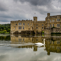 Buy canvas prints of The Swan at Leeds Castle by Paul Piciu-Horvat