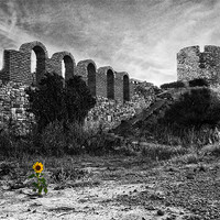 Buy canvas prints of Life in the ruins by Paul Piciu-Horvat