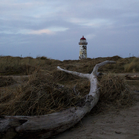 Buy canvas prints of  Driftwood and the Lighthouse by Richard Auty