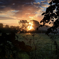 Buy canvas prints of Sunrise behind trees by Richard Auty