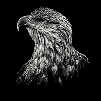 Buy canvas prints of  Sea Eagle by Stuart Sinclair