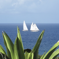 Buy canvas prints of  Sailing in Barbados Round the Island Race by Jane Emery